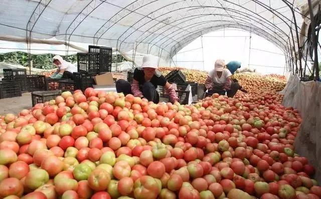 整頓大棚房成了一刀切的代名詞，斷水?dāng)嚯姶u瓦不留，拆成了荒蕪！