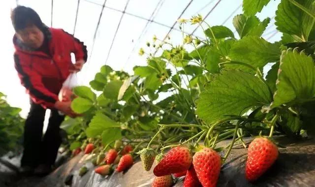 整頓大棚房成了一刀切的代名詞，斷水?dāng)嚯姶u瓦不留，拆成了荒蕪！