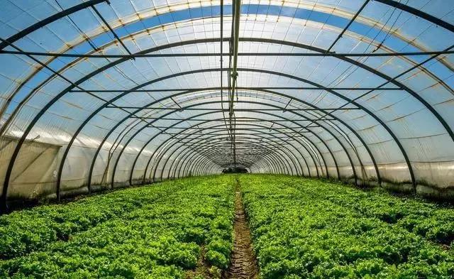 整頓大棚房成了一刀切的代名詞，斷水?dāng)嚯姶u瓦不留，拆成了荒蕪！