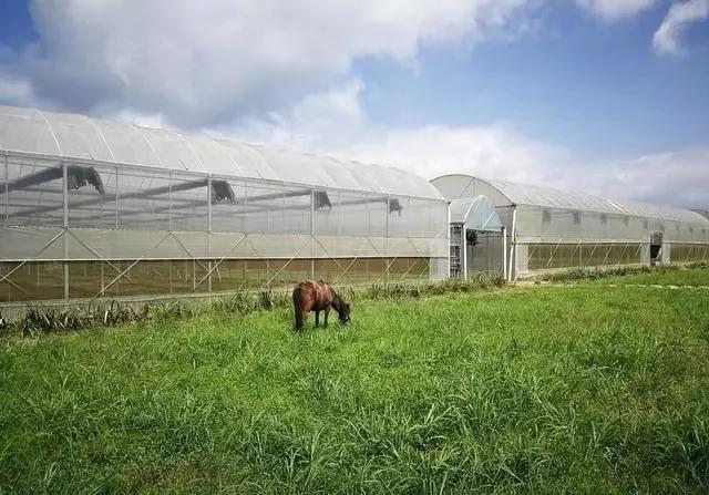 整頓大棚房成了一刀切的代名詞，斷水?dāng)嚯姶u瓦不留，拆成了荒蕪！